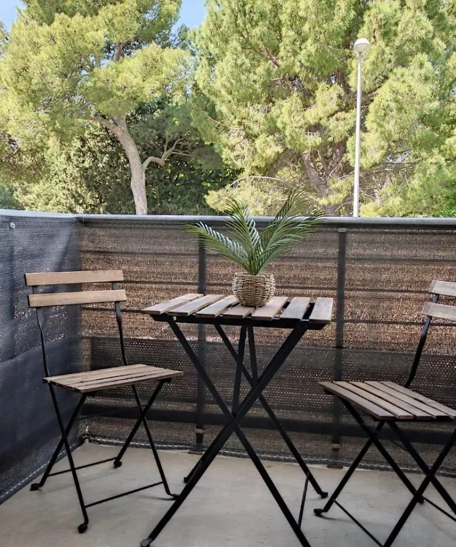 Appartement T2 Avignon Proche Remparts Balcon Et Parking contacts